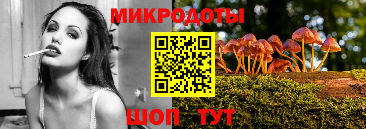 Псилоцибиновые грибы MAGIC MUSHROOMS  Вход с VPN  Галлюциногенные грибы прущие грибы  Карачаевск 